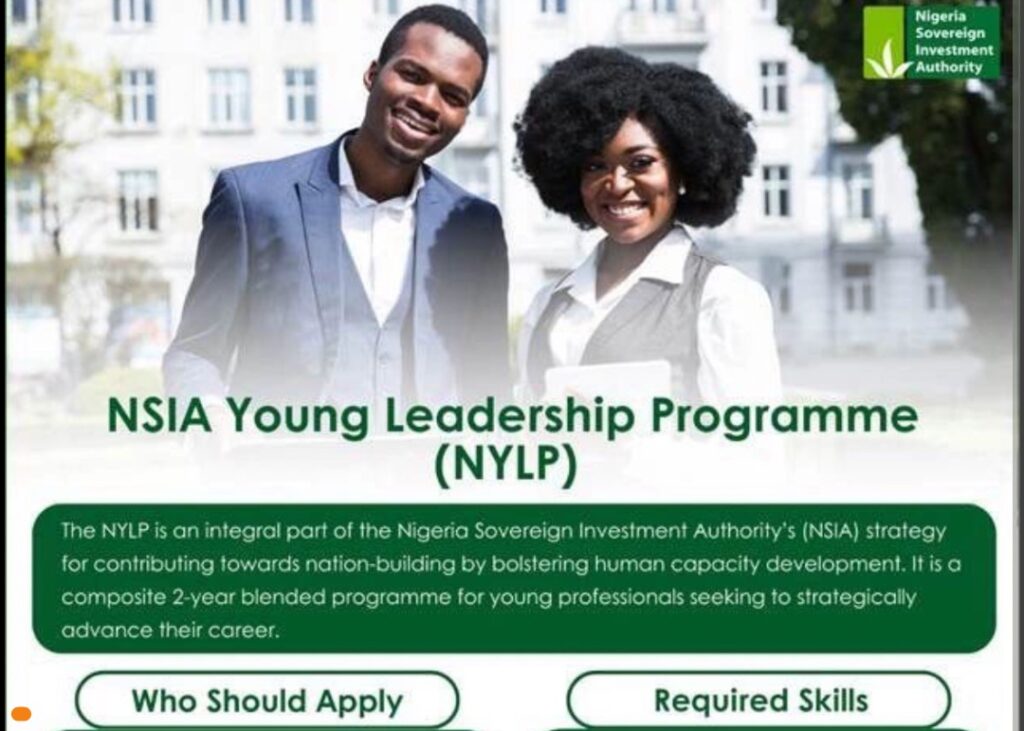 Apply Now for the 2025 NSIA Young Leadership Programme